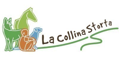 La Collina Storta